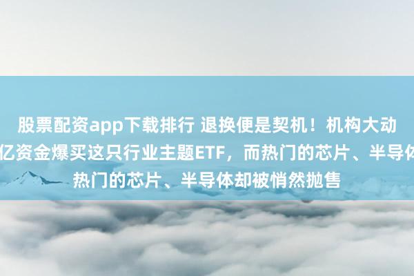 股票配资app下载排行 退换便是契机！机构大动作调仓，近30亿资金爆买这只行业主题ETF，而热门的芯片、半导体却被悄然抛售