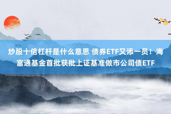 炒股十倍杠杆是什么意思 债券ETF又添一员！海富通基金首批获批上证基准做市公司债ETF