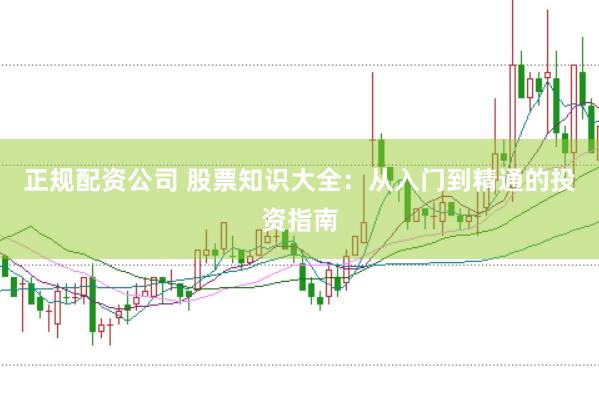 正规配资公司 股票知识大全：从入门到精通的投资指南