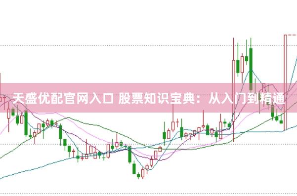 天盛优配官网入口 股票知识宝典：从入门到精通