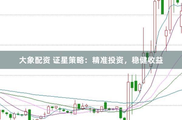 大象配资 证星策略：精准投资，稳健收益