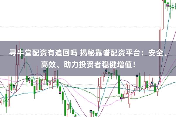 寻牛堂配资有追回吗 揭秘靠谱配资平台：安全、高效、助力投资者稳健增值！