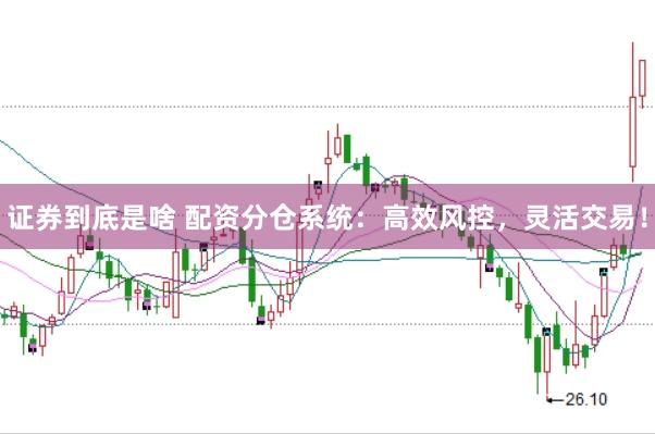 证券到底是啥 配资分仓系统：高效风控，灵活交易！