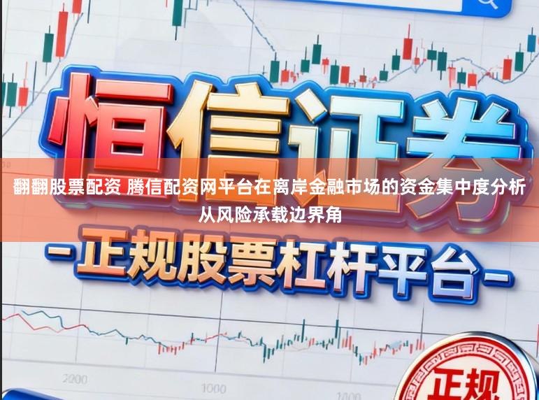 翻翻股票配资 腾信配资网平台在离岸金融市场的资金集中度分析从风险承载边界角