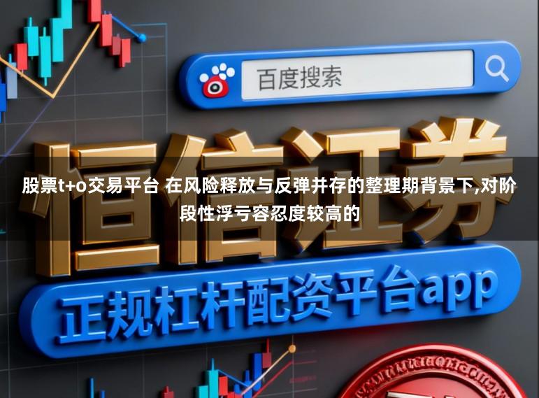 股票t+o交易平台 在风险释放与反弹并存的整理期背景下,对阶段性浮亏容忍度较高的
