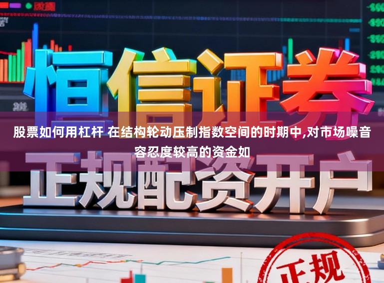 股票如何用杠杆 在结构轮动压制指数空间的时期中,对市场噪音容忍度较高的资金如